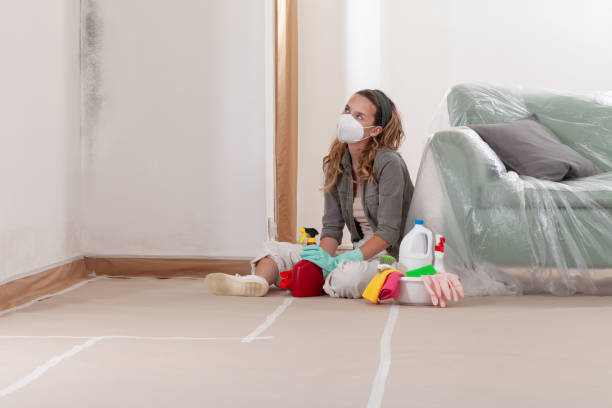 Reliable Crawl Space Mold Remediation contractor in Hanover, MD by 24 Hour Mold Removal